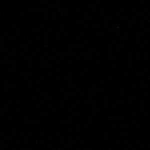 Meet your Posher, Ramona